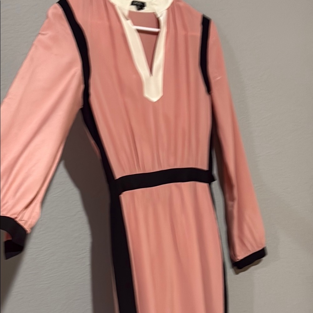 Raoul silk Pink long Sleeve V-Neck Sz 2 Dress - Picture 7 of 11